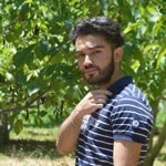 Tamer