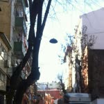 Ayşenur