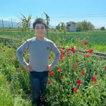 Orhan