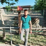 Caner