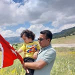 Doğan