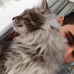 Fatih