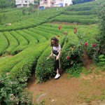 Buse