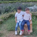 Gürcü