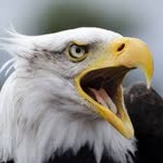 Emrah