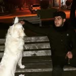 Hakan