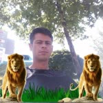 Halil