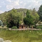 Damla