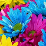 Arzu