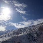 Bahar