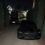 Миша