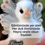 Gülçin