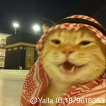 Osman