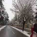 Damla