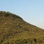 Gülsüm