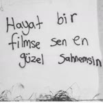 Alican