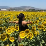 Sinem