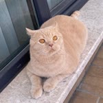 Gülden