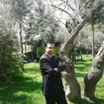 Sedat