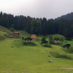 Hakan