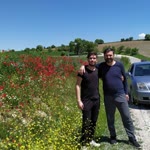 Serdar