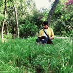 Murat