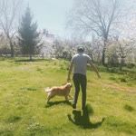 Furkan