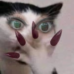 Ümmügülsüm