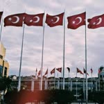 Saliha