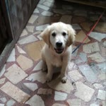 Emir