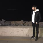 Şahin