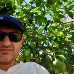 Kerem