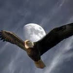 Tolga