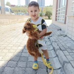 Derya