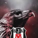 Olcay