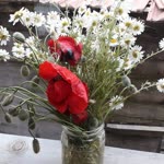 Emine