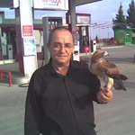 Nevzat