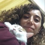 Şilan
