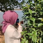 Emine