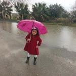 Süleyman