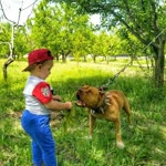 Burak