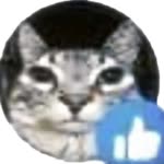 Remzi
