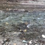 Fikret