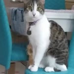 Özlem