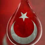 Enem