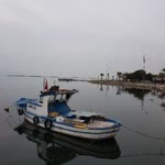 Soner