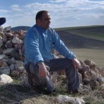 Murat