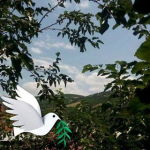 Erdal