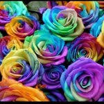 Filiz