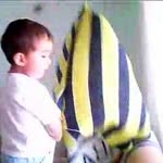 Serdar
